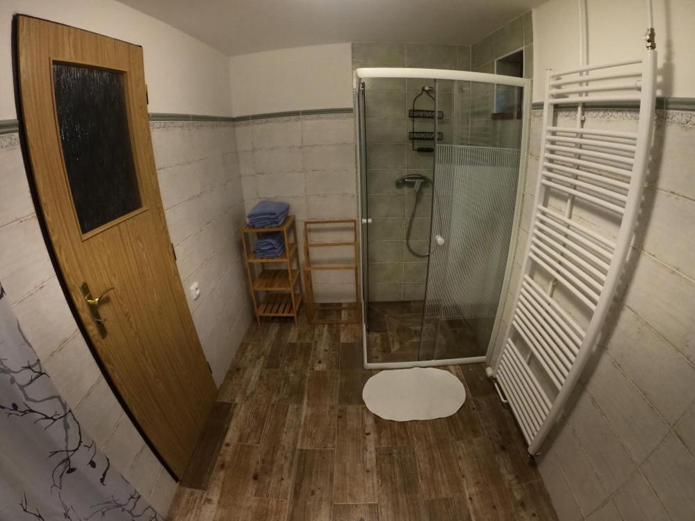 Apartman U Sjezdovky Železná Ruda エクステリア 写真
