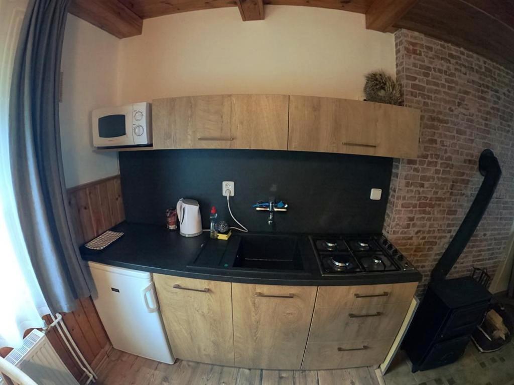 Apartman U Sjezdovky Železná Ruda エクステリア 写真